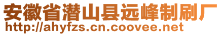 安徽省潛山縣遠(yuǎn)峰制刷廠