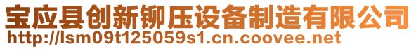 寶應(yīng)縣創(chuàng)新鉚壓設(shè)備制造有限公司