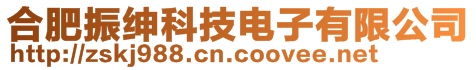 合肥振紳科技電子有限公司