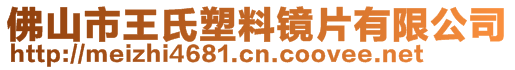 佛山市王氏塑料鏡片有限公司