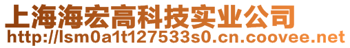 上海海宏高科技实业公司