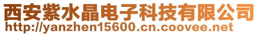 西安紫水晶電子科技有限公司