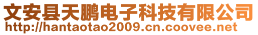 文安縣天鵬電子科技有限公司