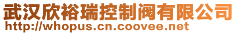 武漢欣裕瑞控制閥有限公司