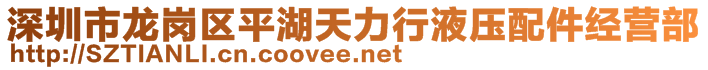 深圳市龙岗区平湖天力行液压配件经营部