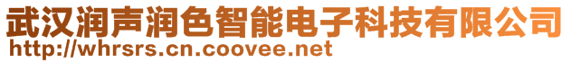 武漢潤聲潤色智能電子科技有限公司