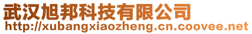 武漢旭邦科技有限公司