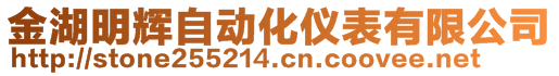 金湖明輝自動(dòng)化儀表有限公司