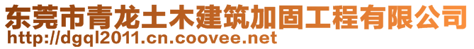 東莞市青龍土木建筑加固工程有限公司