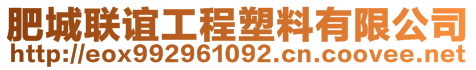 肥城联谊工程塑料有限公司