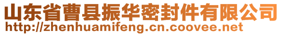 山東省曹縣振華密封件有限公司