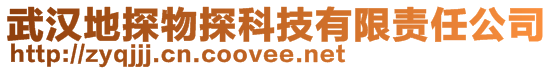 武漢地探物探科技有限責任公司