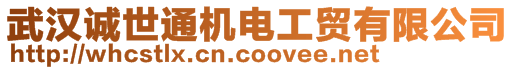 武漢誠世通機電工貿(mào)有限公司