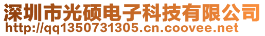 深圳市光碩電子科技有限公司