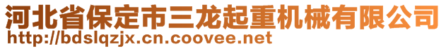 河北省保定市三龍起重機(jī)械有限公司