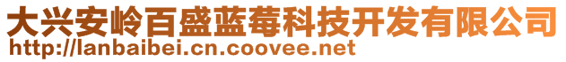 大興安嶺百盛藍(lán)莓科技開(kāi)發(fā)有限公司