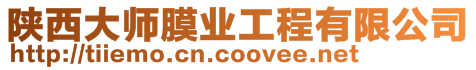 陜西大師膜業(yè)工程有限公司