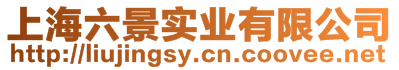 上海六景實(shí)業(yè)有限公司