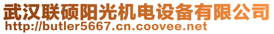 武漢聯(lián)碩陽光機(jī)電設(shè)備有限公司