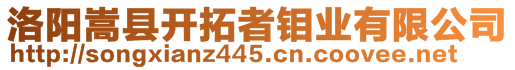 洛陽嵩縣開拓者鉬業(yè)有限公司