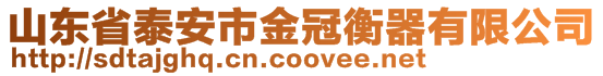 山東省泰安市金冠衡器有限公司