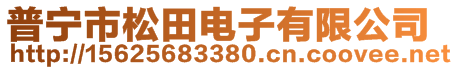 普寧市松田電子有限公司