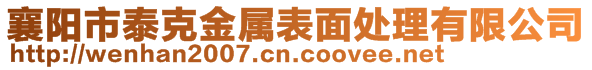 襄陽市泰克金屬表面處理有限公司