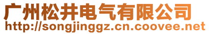 廣州松井電氣有限公司