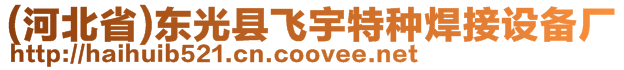 (河北省)東光縣飛宇特種焊接設備廠