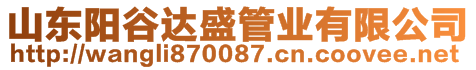 山東陽谷達(dá)盛管業(yè)有限公司