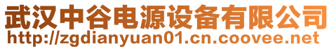 武汉中谷电源设备有限公司