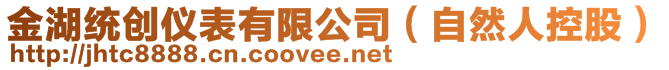 金湖統創儀表有限公司（自然人控股）