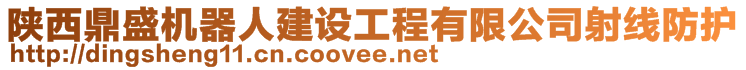 陜西鼎盛機器人建設(shè)工程有限公司射線防護