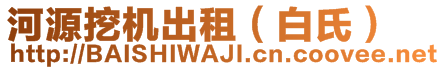 河源挖機(jī)出租（白氏）