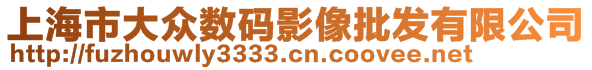 上海市大眾數(shù)碼影像批發(fā)有限公司