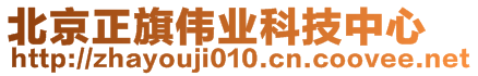 北京正旗偉業(yè)科技中心