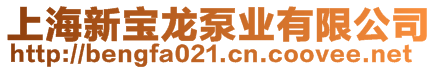上海新寶龍泵業有限公司