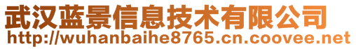 武漢藍(lán)景信息技術(shù)有限公司