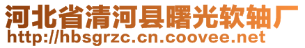 河北省清河縣曙光軟軸廠