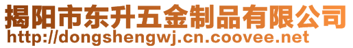 揭陽(yáng)市東升五金制品有限公司