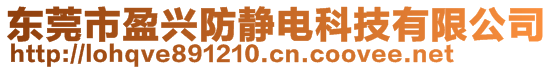 东莞市盈兴防静电科技有限公司