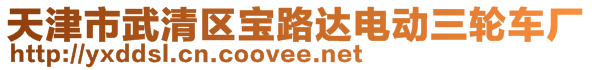 天津市武清區(qū)寶路達(dá)電動三輪車廠