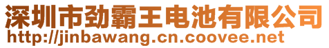 深圳市勁霸王電池有限公司