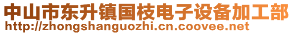 中山市東升鎮(zhèn)國枝電子設(shè)備加工部