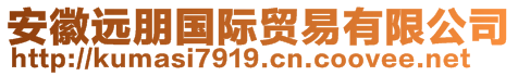 安徽遠朋國際貿易有限公司