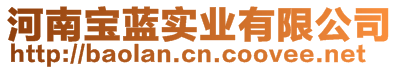 河南宝蓝实业有限公司