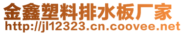 金鑫塑料排水板廠家