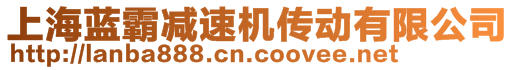 上海藍(lán)霸減速機(jī)傳動(dòng)有限公司