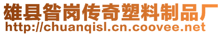 雄县昝岗传奇塑料制品厂