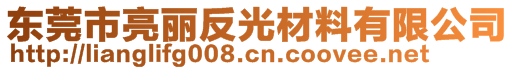 東莞市亮麗反光材料有限公司